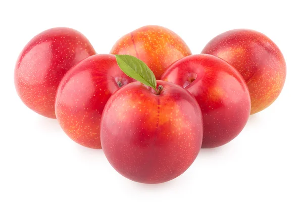 Red ripe plums — Stock Photo, Image