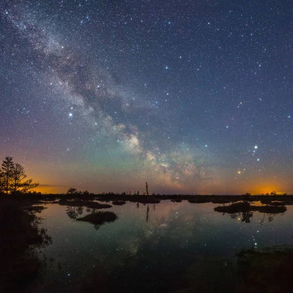 Starry night at swamp — Stock Photo, Image