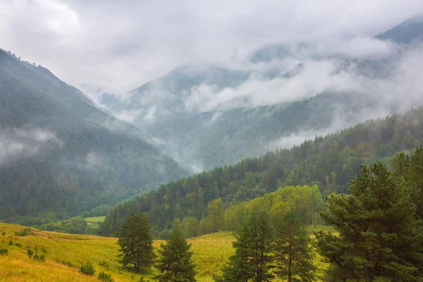 Giornata nuvolosa nella valle della montagna — Foto Stock