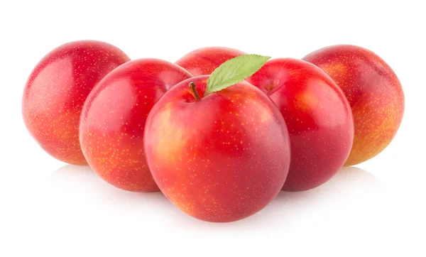 Red ripe plums — Stock Photo, Image