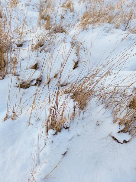 Campo Abierto Nevado Hierba Bajo Nieve — Foto de Stock