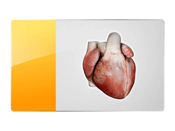 Heart Symbol Button Organ Icon Web Design Graphic — Stock Photo, Image