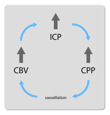 Beyin Kan Akımı, Kafa İçi Basınç, Beyin Perfüzyon Basıncı, 2d grafik, illüstrasyon