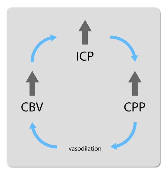 Cerebralt Blodflöde Intrakraniellt Tryck Cerebralt Perfusionstryck Grafik Illustration — Stockfoto