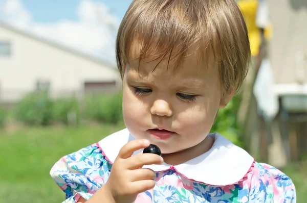 Baby-Mädchen isst Johannisbeeren auf Bio-Selfpick weit aufgezogen — Stockfoto