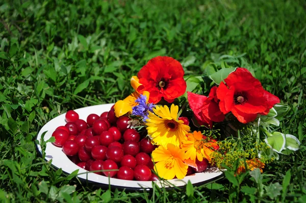 Natureza morta com flores e cereja no prato — Fotografia de Stock
