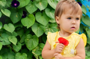 Kırmızı haşhaş çiçek sarı elbiseli zarif küçük kız