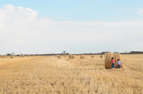 Due bambini rotolando covone di fieno — Foto Stock