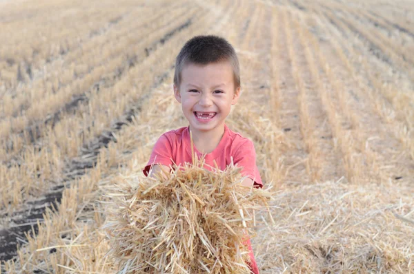 Boy with  bundle of hay smiling — Stock Photo, Image