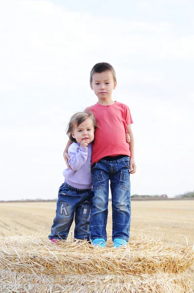 Siblings on the bundle of hay together — Stock Photo, Image