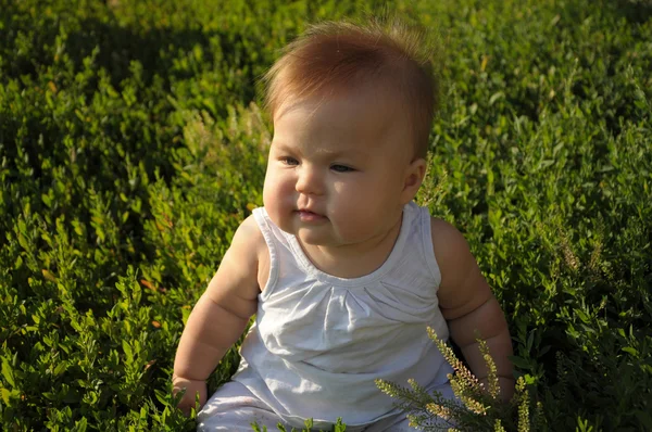 Kleine baby met zoete vette wangen — Stockfoto