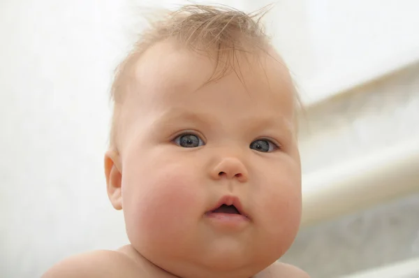 Bebê bonito com bochechas gordinhas olhando — Fotografia de Stock