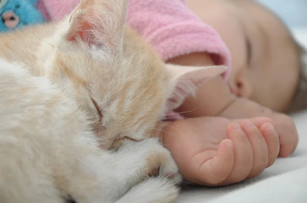 Bebê e gato dormindo durante o dia — Fotografia de Stock