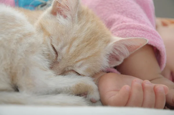 Bébé et chat dorment ensemble sieste — Photo