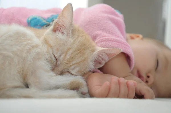 Bébé et chat dormant ensemble le jour — Photo