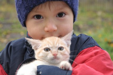 küçük kedi yavrusu sonbaharda açık çocukla