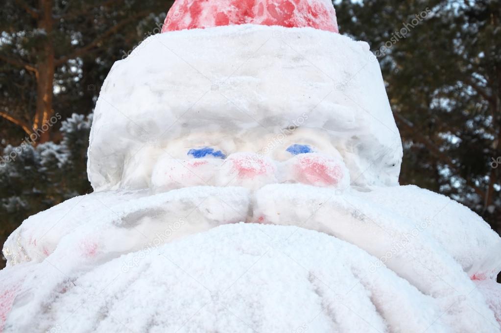 Snowy Father Frost portrait