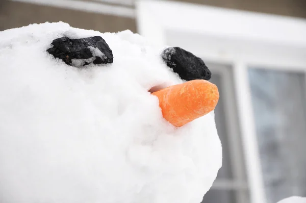 Snowman portrait — Stock Photo, Image