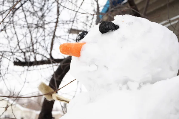 Snowman portrait — Stock Photo, Image