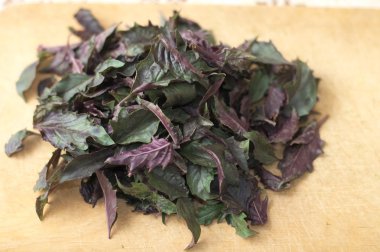 taze fesleğen yaprağı