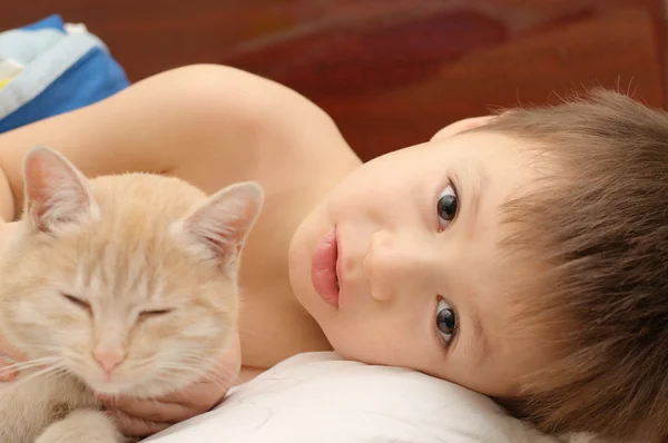 Menino com gato de manhã — Fotografia de Stock