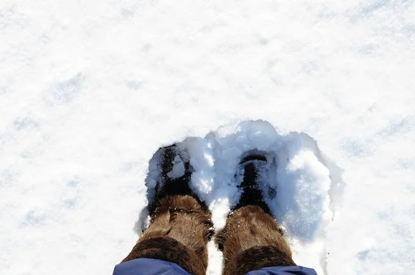 Bottes d'hiver avec fourrure naturelle — Photo