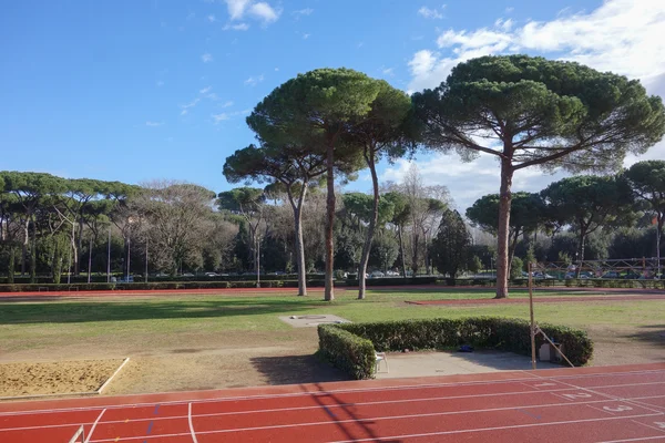 Stadium at Terme di Caracalla (meaning Baths of Caracalla) in Ro — Stock Photo, Image