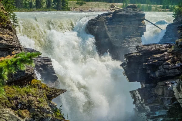 HDR Athabasca Falls v Albertě — Stock fotografie