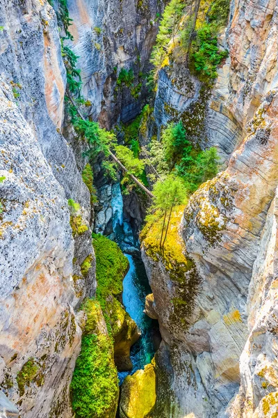 HDR Maligne Canyon in Alberta — Stock Photo, Image