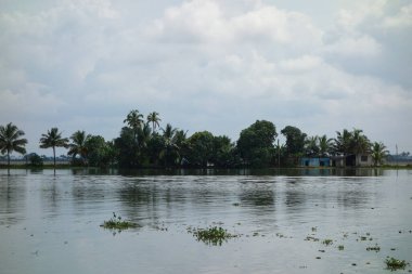 Hindistan, Kerala 'daki tuzlu su gölleri, göller, kanallar ve nehirlerden oluşan durgun bir ağ.