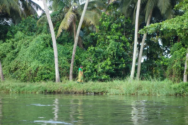 KERALA, Hindistan - CIRCA ECTOBER 2017: Tuzlu su gölleri, göller, kanallar ve nehirlerden oluşan durgun bir ağ