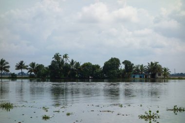 Hindistan, Kerala 'daki tuzlu su gölleri, göller, kanallar ve nehirlerden oluşan durgun bir ağ.