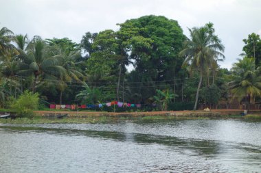 Hindistan, Kerala 'daki tuzlu su gölleri, göller, kanallar ve nehirlerden oluşan durgun bir ağ.