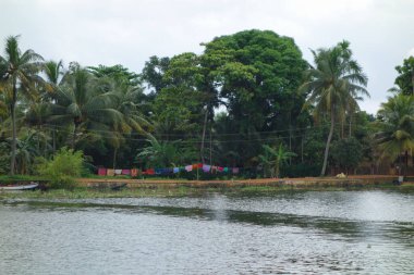 Hindistan, Kerala 'daki tuzlu su gölleri, göller, kanallar ve nehirlerden oluşan durgun bir ağ.