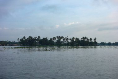 Hindistan, Kerala 'daki tuzlu su gölleri, göller, kanallar ve nehirlerden oluşan durgun bir ağ.