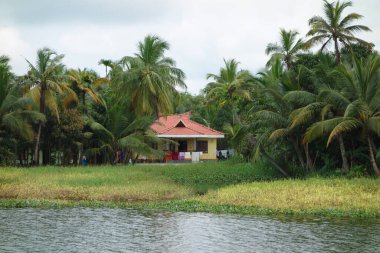 Hindistan, Kerala 'daki tuzlu su gölleri, göller, kanallar ve nehirlerden oluşan durgun bir ağ.