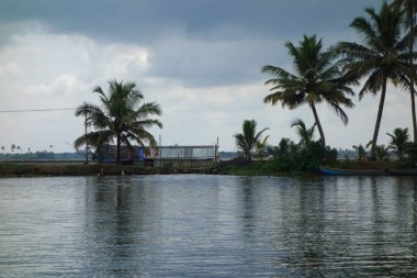 Hindistan, Kerala 'daki tuzlu su gölleri, göller, kanallar ve nehirlerden oluşan durgun bir ağ.