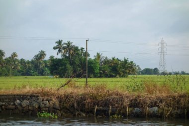Hindistan, Kerala 'daki tuzlu su gölleri, göller, kanallar ve nehirlerden oluşan durgun bir ağ.