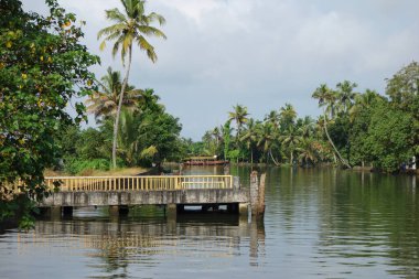 Hindistan, Kerala 'daki tuzlu su gölleri, göller, kanallar ve nehirlerden oluşan durgun bir ağ.