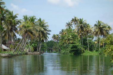 Hindistan, Kerala 'daki tuzlu su gölleri, göller, kanallar ve nehirlerden oluşan durgun bir ağ.