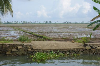 Hindistan, Kerala 'daki tuzlu su gölleri, göller, kanallar ve nehirlerden oluşan durgun bir ağ.