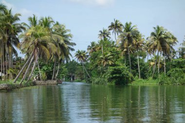 Hindistan, Kerala 'daki tuzlu su gölleri, göller, kanallar ve nehirlerden oluşan durgun bir ağ.