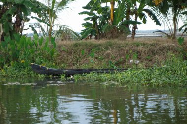 Hindistan, Kerala 'daki tuzlu su gölleri, göller, kanallar ve nehirlerden oluşan durgun bir ağ.