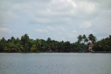 Hindistan, Kerala 'daki tuzlu su gölleri, göller, kanallar ve nehirlerden oluşan durgun bir ağ.