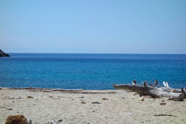 İtalya 'nın Portoferraio kentindeki Toskana Takımadası' nın Tyrhenian Denizi kıyısındaki Montecristo Adası 'ndaki Cala Maestra plajı.