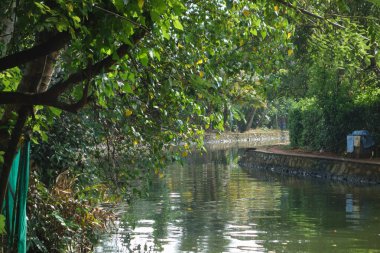 Hindistan, Kerala 'daki tuzlu su gölleri, göller, kanallar ve nehirlerden oluşan durgun bir ağ.