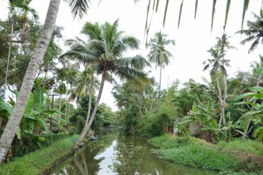 Hindistan, Kerala 'daki tuzlu su gölleri, göller, kanallar ve nehirlerden oluşan durgun bir ağ.