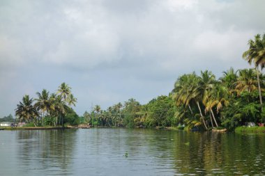 Hindistan, Kerala 'daki tuzlu su gölleri, göller, kanallar ve nehirlerden oluşan durgun bir ağ.