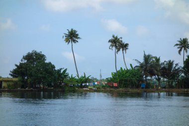 Hindistan, Kerala 'daki tuzlu su gölleri, göller, kanallar ve nehirlerden oluşan durgun bir ağ.