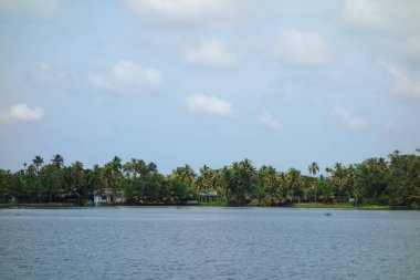 Hindistan, Kerala 'daki tuzlu su gölleri, göller, kanallar ve nehirlerden oluşan durgun bir ağ.